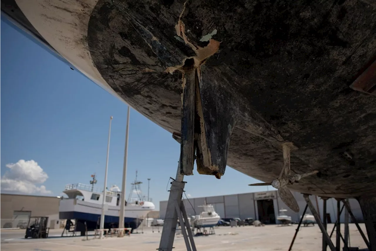 Orcas attack and sink another yacht in Strait of Gibraltar