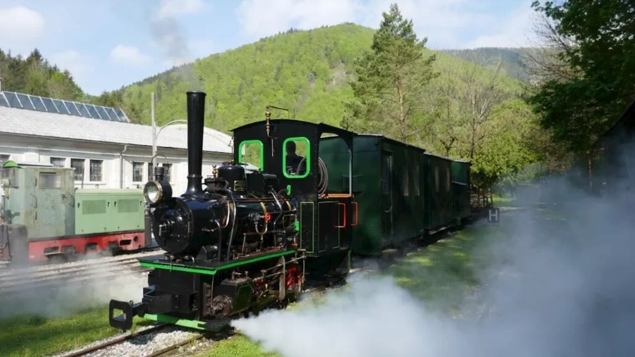 125 Jahre alte Lok dampft durch Freiland