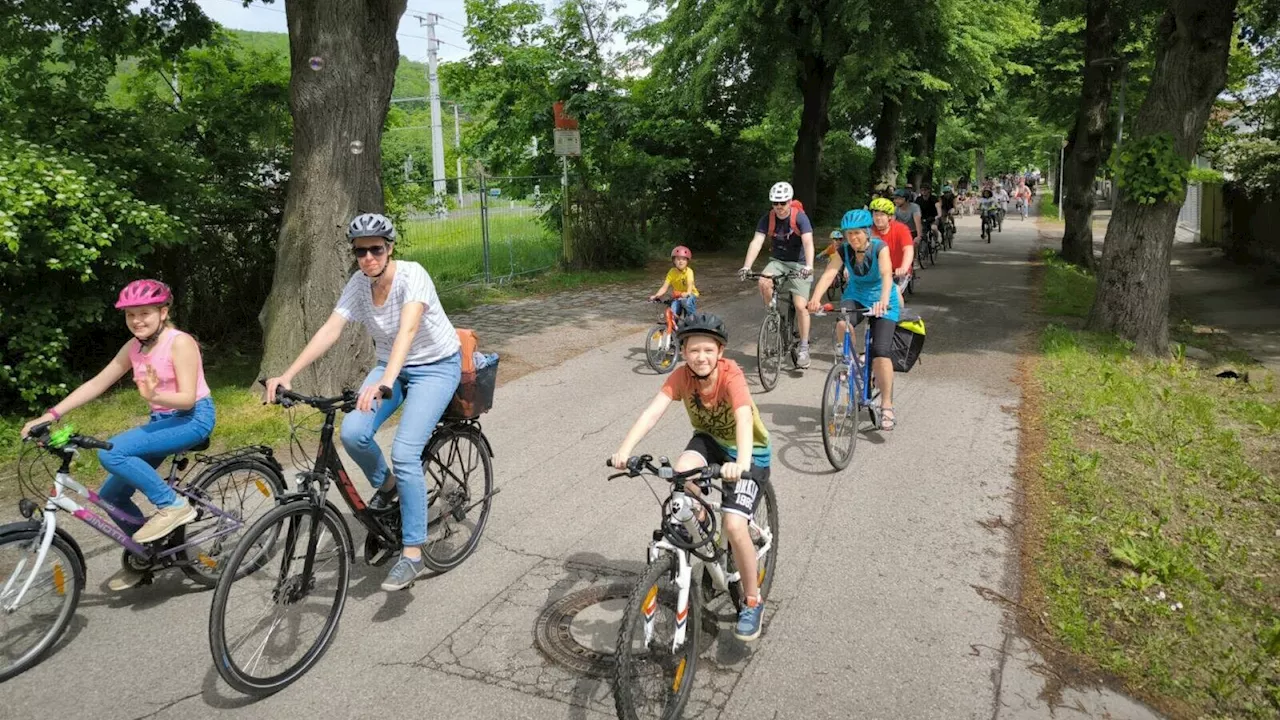 Grüne luden ein: Alles rund ums Fahrrad in Purkersdorf