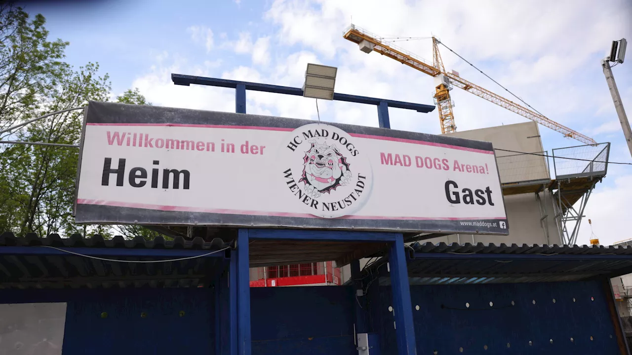 Wegen Wohnbau: Sorgen bei den Wiener Neustädter Mad Dogs