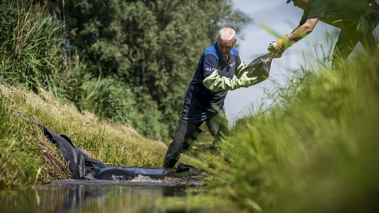 Van alle klimaatrisico's is waterschaarste voor Nederland het meest nijpend