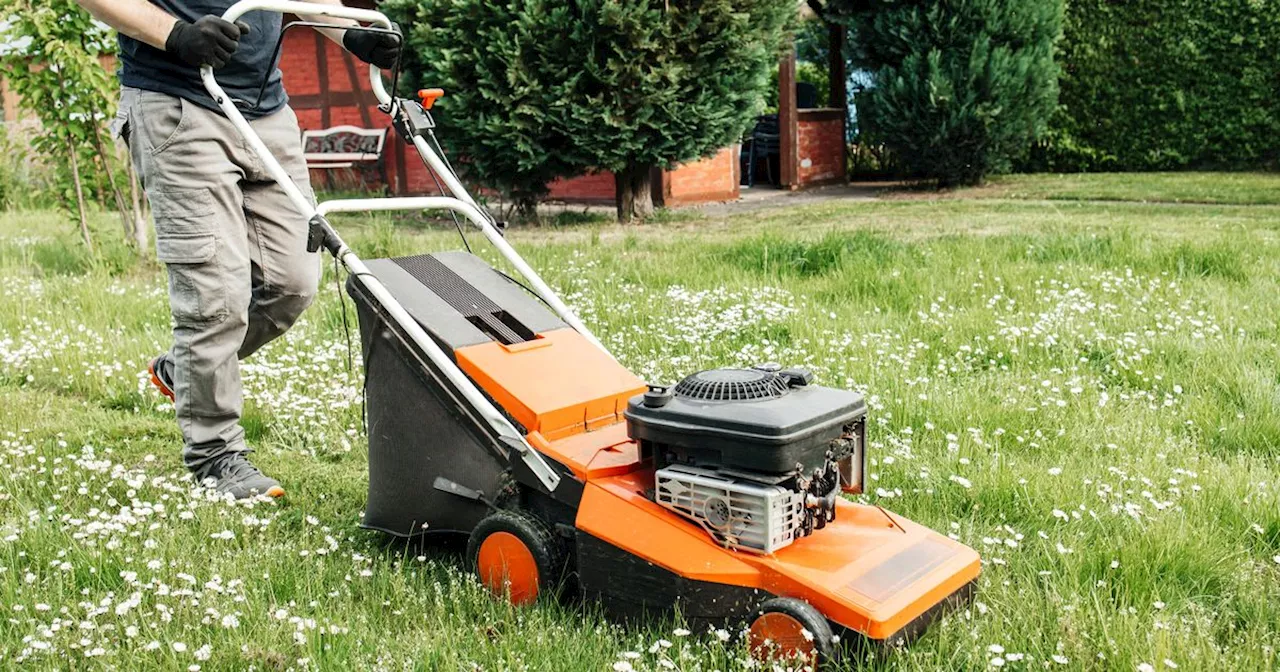 Man divides fans with simple gardening trick to avoid mowing bumpy lawn