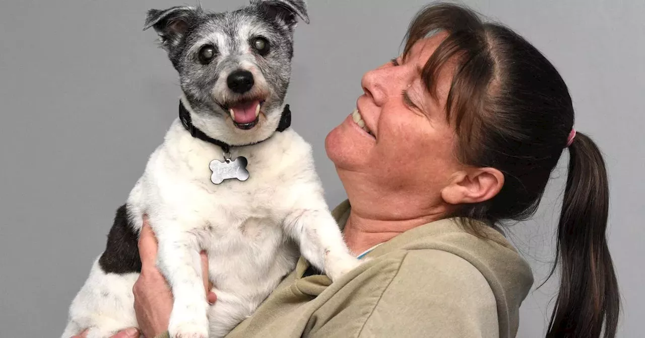 Owner thought terrier was going to die after attack by escaped dog