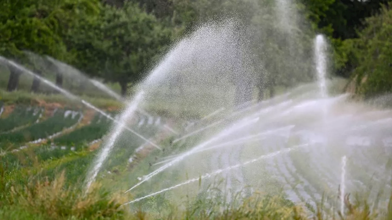 Baden-Württemberg: Mehr landwirtschaftliche Betriebe bewässern ihre Flächen