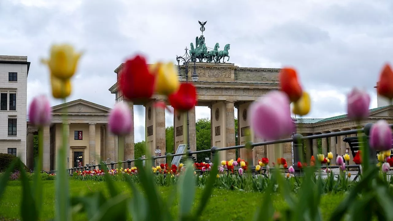 Berlin & Brandenburg: Amt für Statistik: 10 Prozent mehr Touristen aus dem Ausland