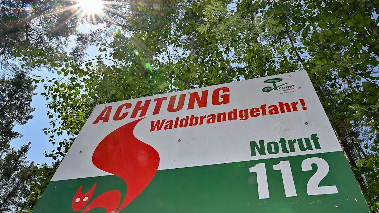 Berlin & Brandenburg: Hohe Waldbrandgefahr zum Wochenstart in Brandenburg