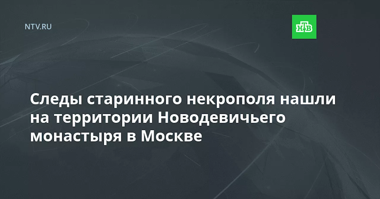 Следы старинного некрополя нашли на территории Новодевичьего монастыря в Москве