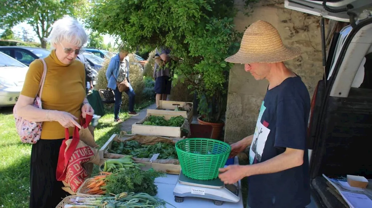 « Nos seuls outils sont nos bras » : maraîchers biologiques, ils vendent en circuit court