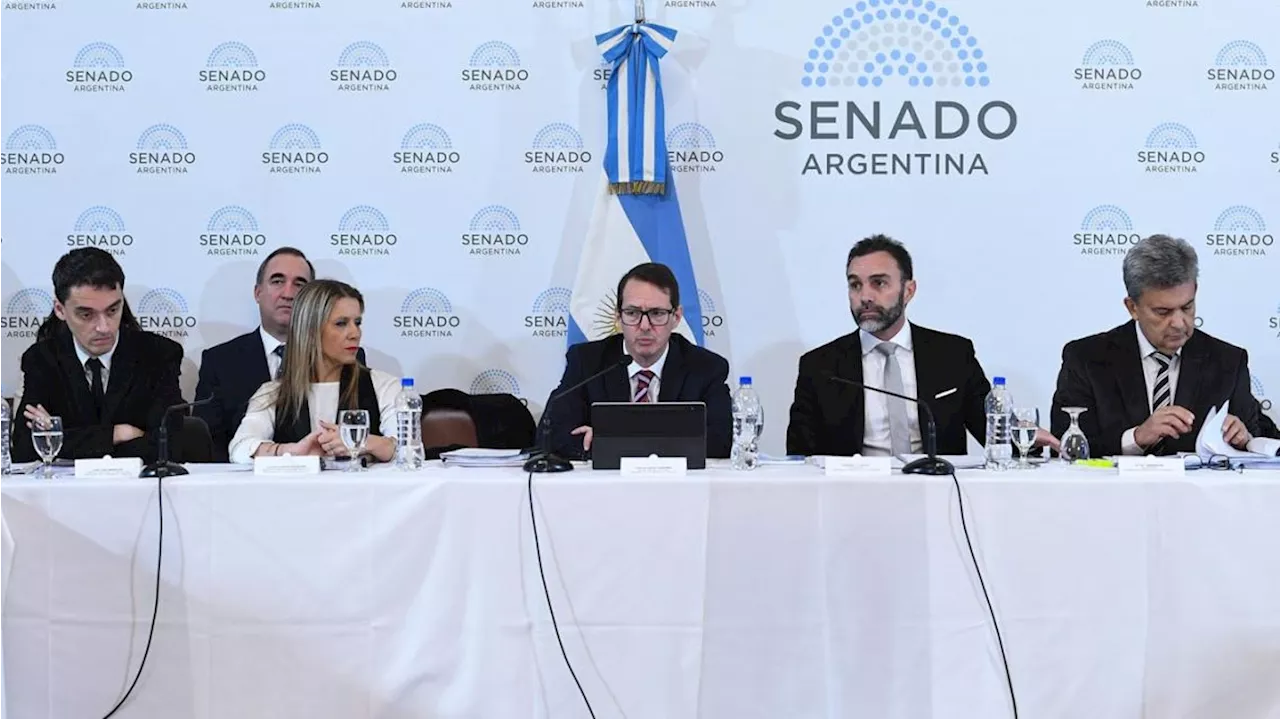 Ley de Bases: el Senado retoma el tratamiento con los bloques dialoguistas marcando el ritmo