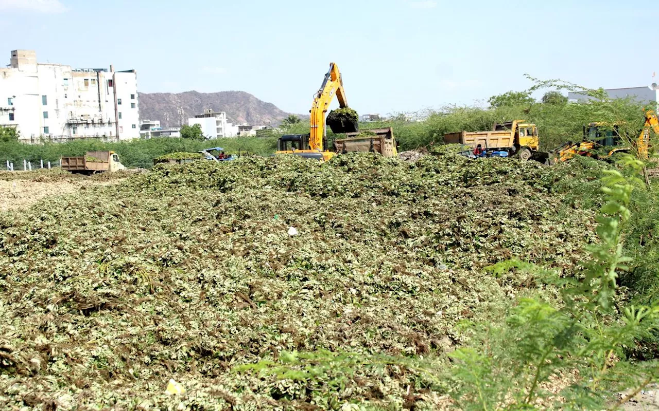 बायोडिग्रेबल व बबल्स प्रोसेस का प्रेजेंटेशन, अब आनासागर झील में करेंगे उपयोग