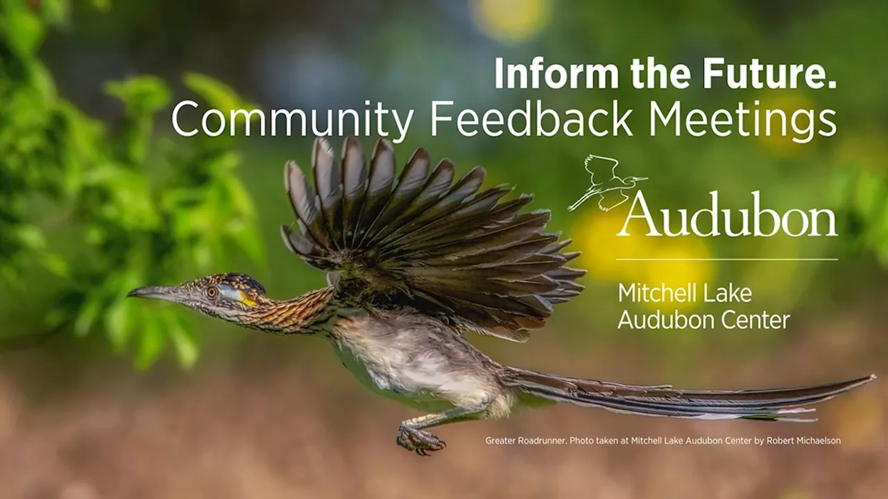 Mitchell Lake Audubon Center Community Meeting