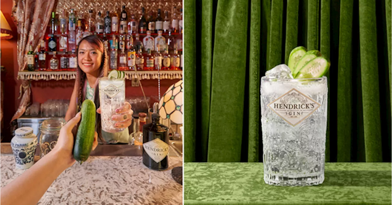 You Can Get A Free Gin & Tonic At Any Of These Bars If You Give Them A Cucumber