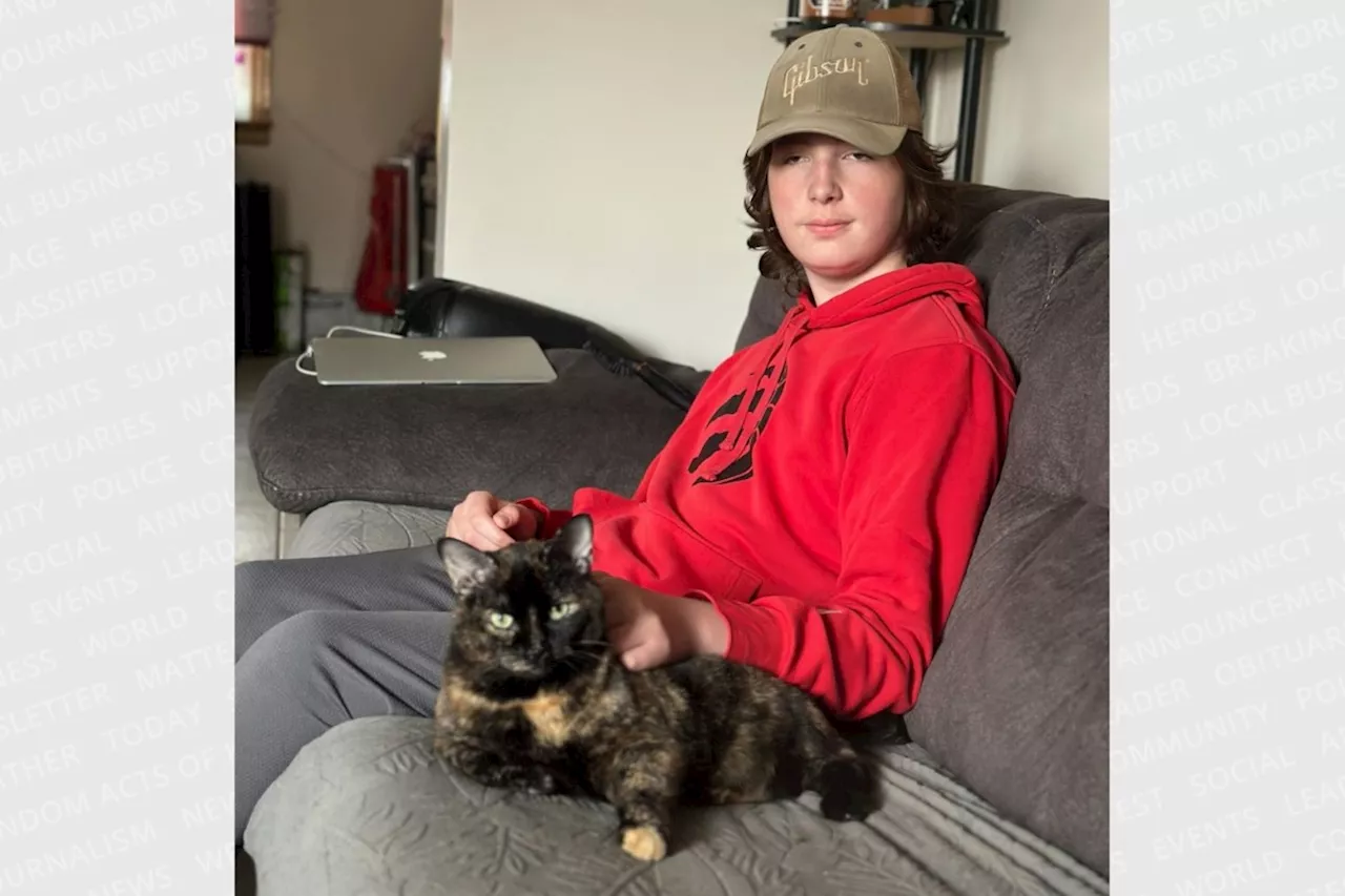 Purr-fect grade: Sault teen turns class project into cat food collection drive