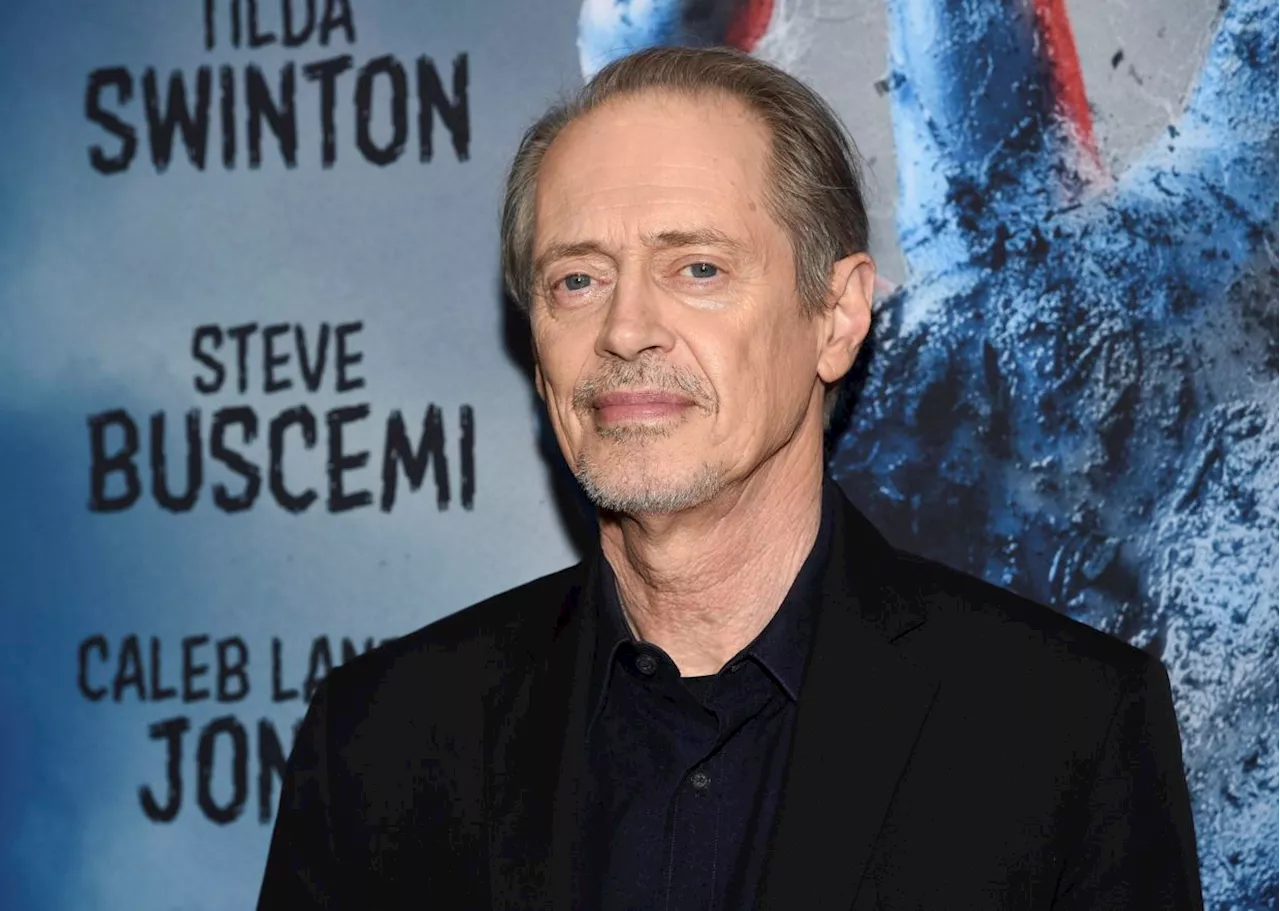 Actor Steve Buscemi punched in the face in New York City