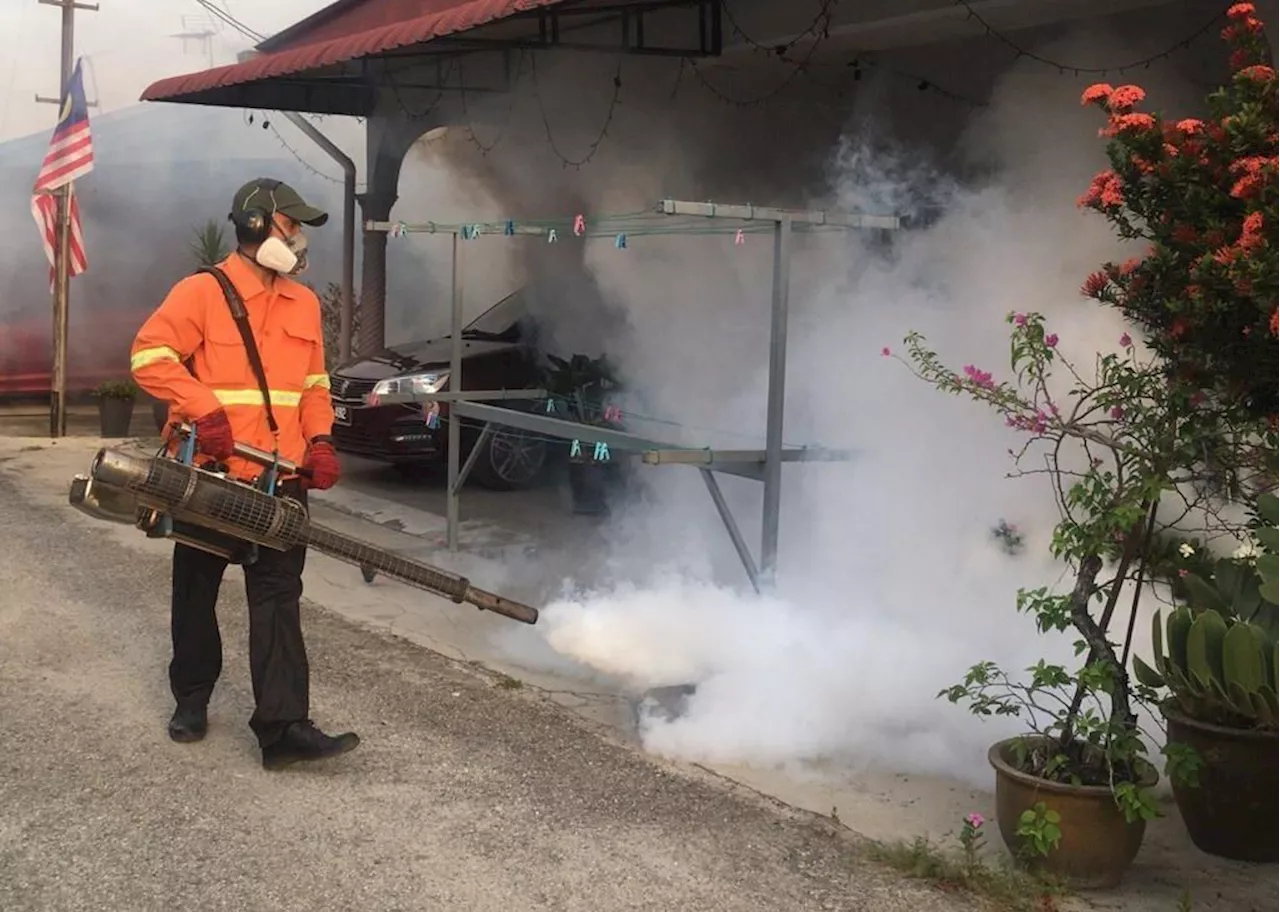 Klang still recording over 100 dengue cases weekly