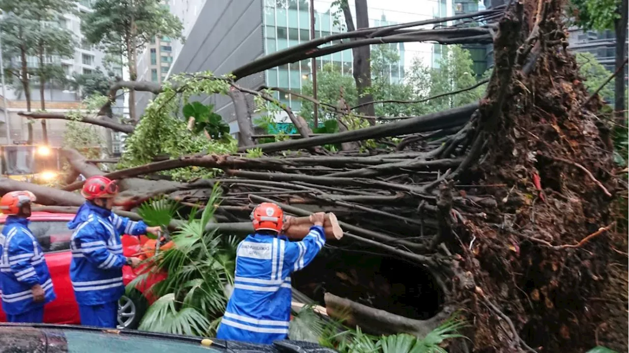 Storm uproots trees in KL, several vehicles and house damaged