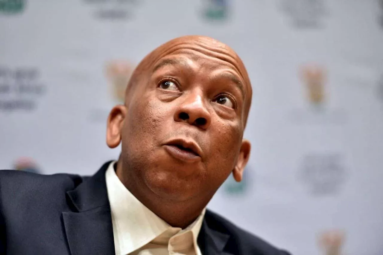 WATCH: Eskom minister Ramokgopa says there’s ‘no magic’ in not having load shedding