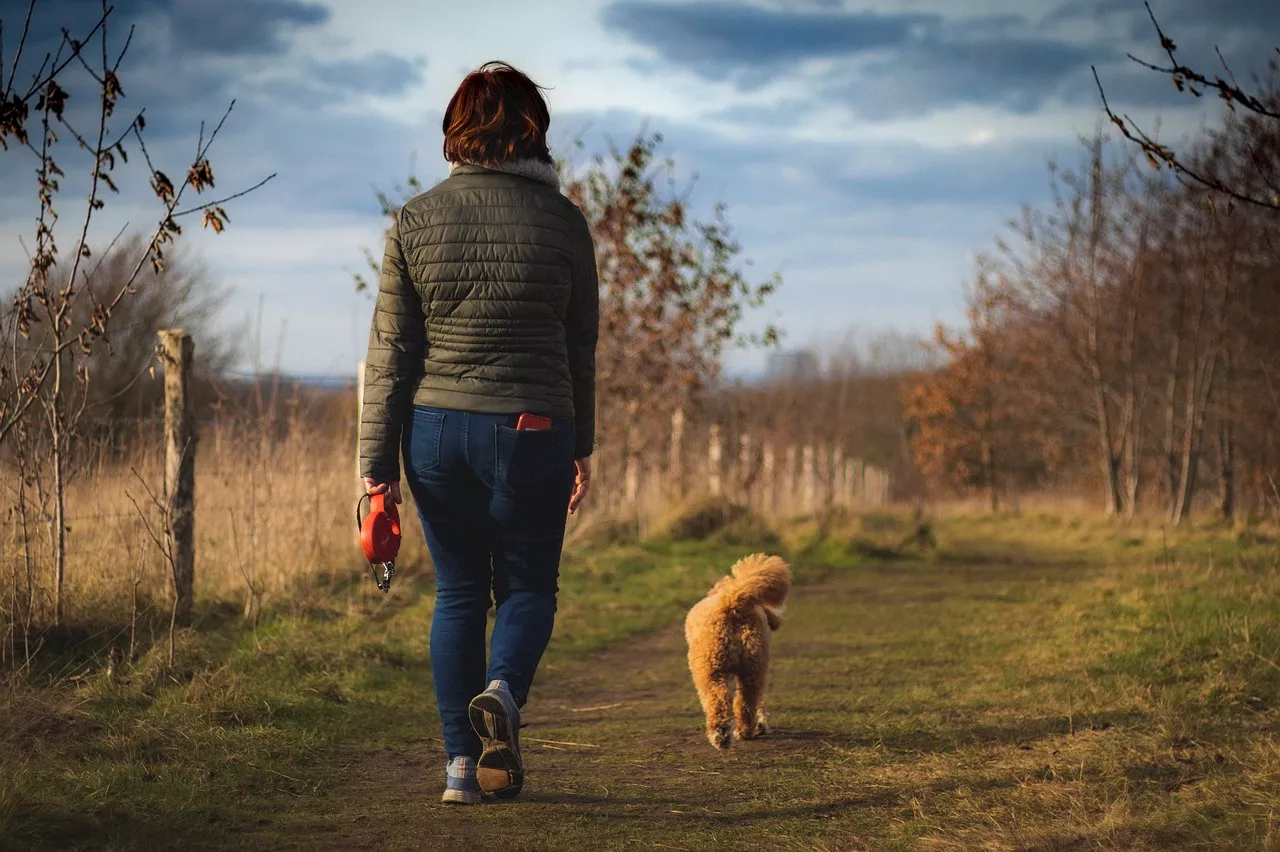 How often should you change your dog’s walking route?