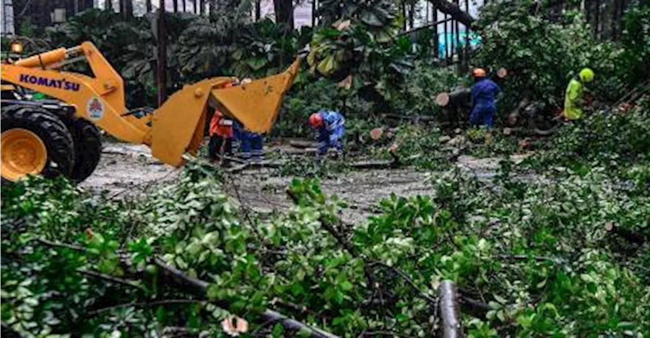 Kereta Ketua Menteri Melaka nyaris dihempap pokok tumbang di Jalan Pinang