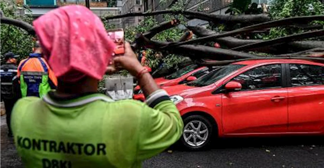 Pokok tumbang: 10 kenderaan rosak termasuk kereta peronda polis