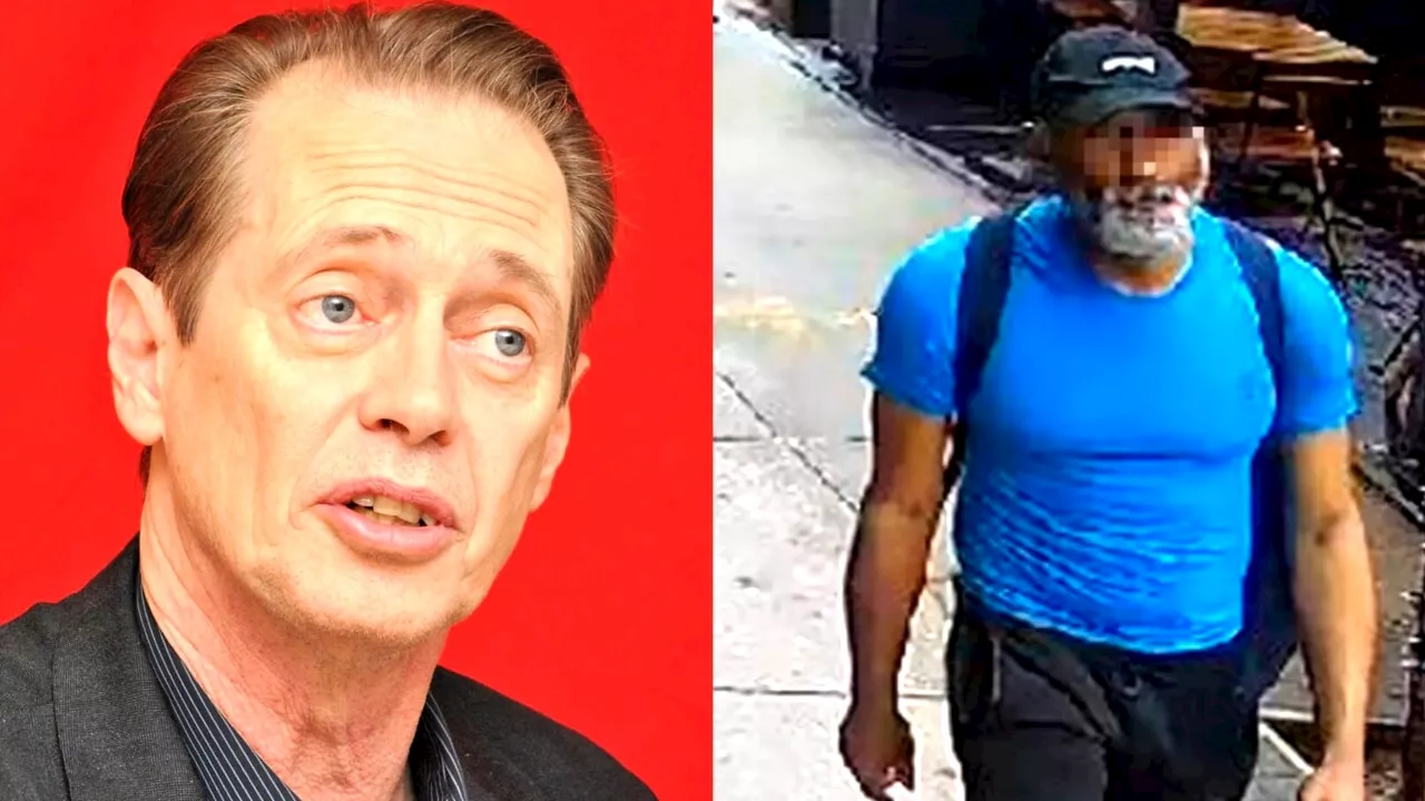 Steve Buscemi preso a pugni da uno sconosciuto in strada: "Violenza casuale"