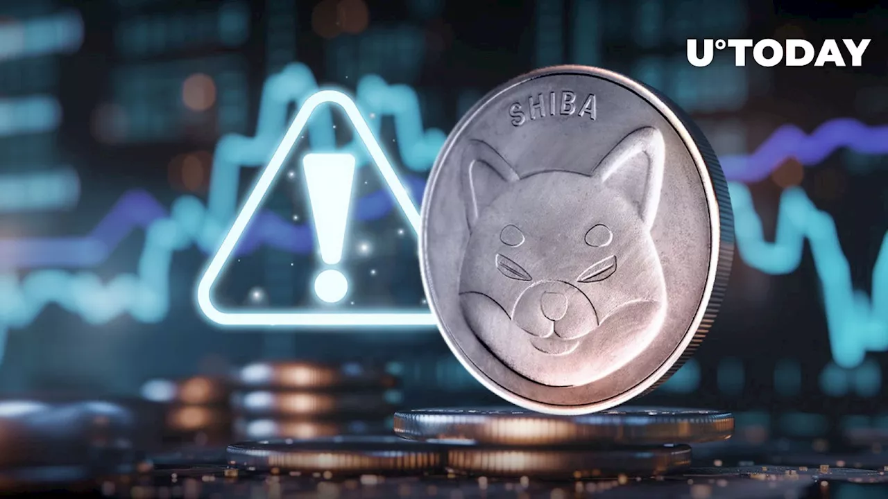 Crucial Airdrop Warning Issued to Shiba Inu (SHIB) Community