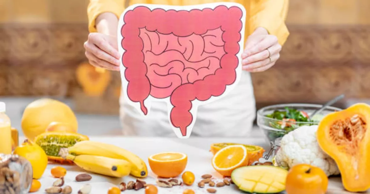 El poder oculto en su cuerpo: Consejos clave para una microbiota saludable