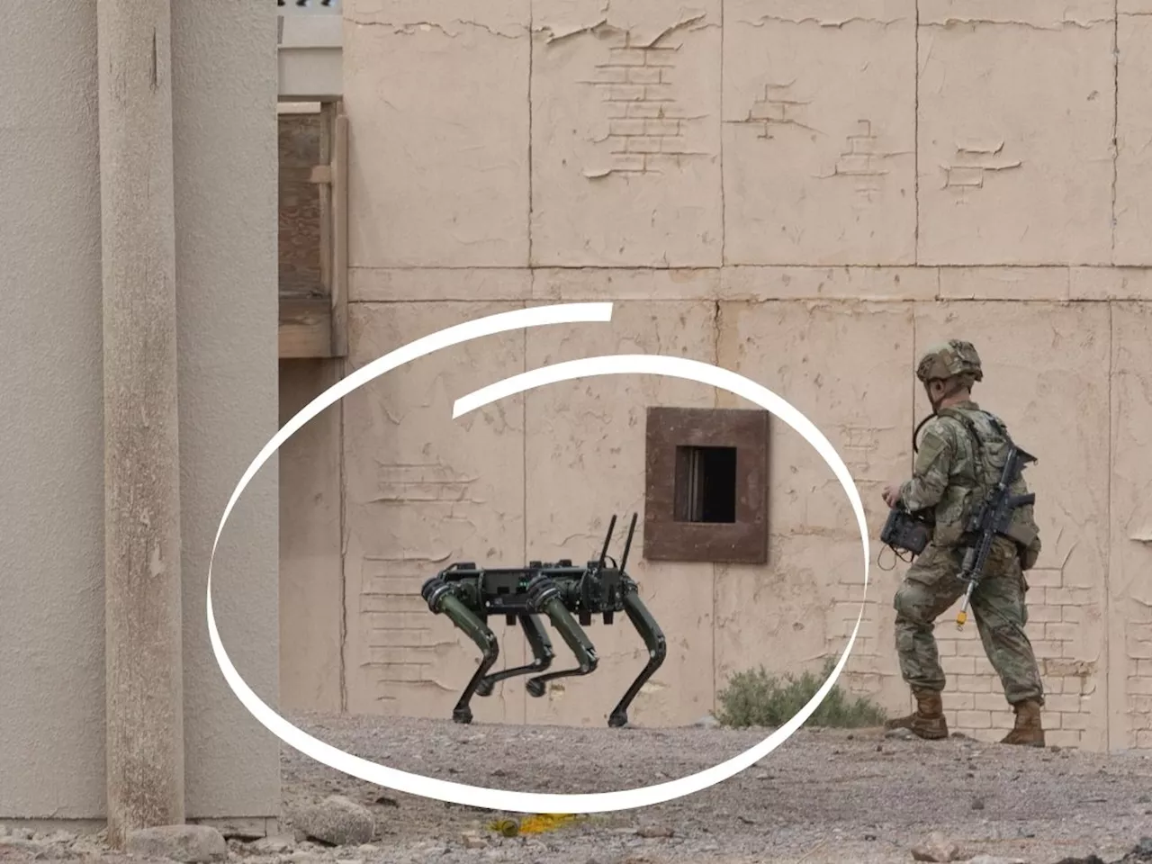 US-Militär testet bewaffnete Roboterhunde für den Kampfeinsatz