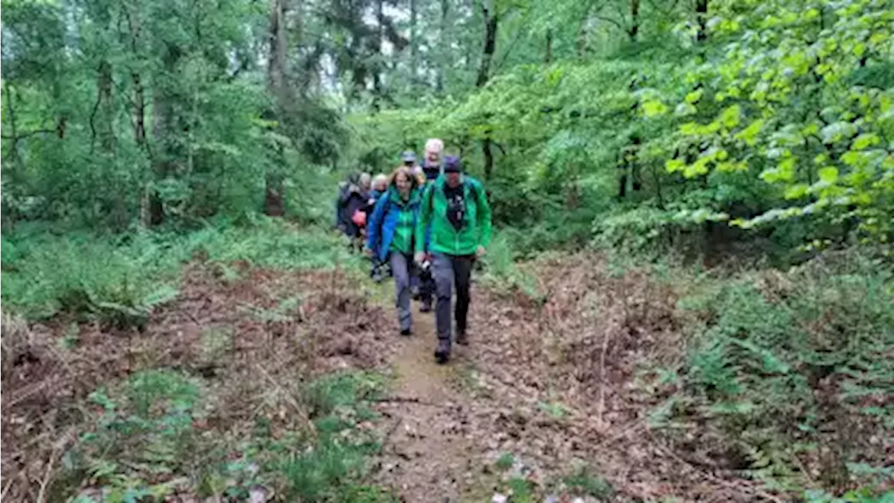 Wandern bei jedem Wetter: Gruppe des SV Lemwerder erkundet Region