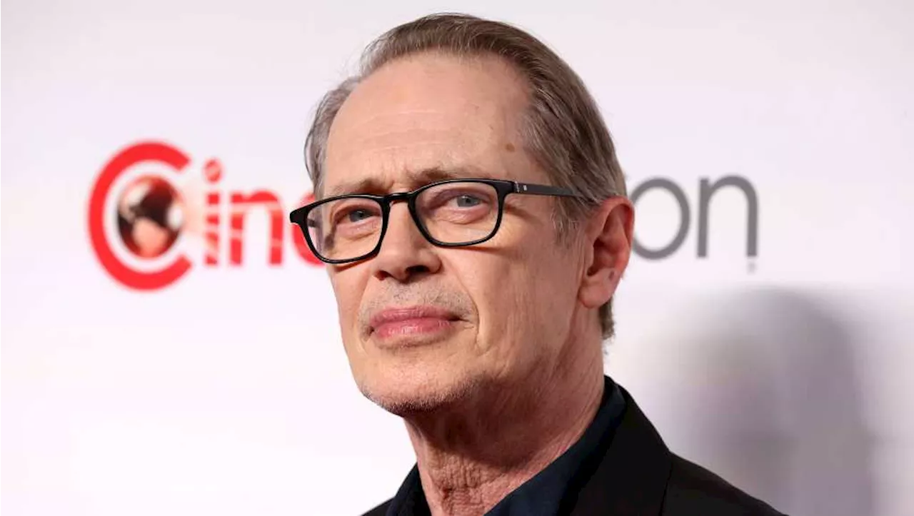 Steve Buscemi punched in the face while walking in NYC