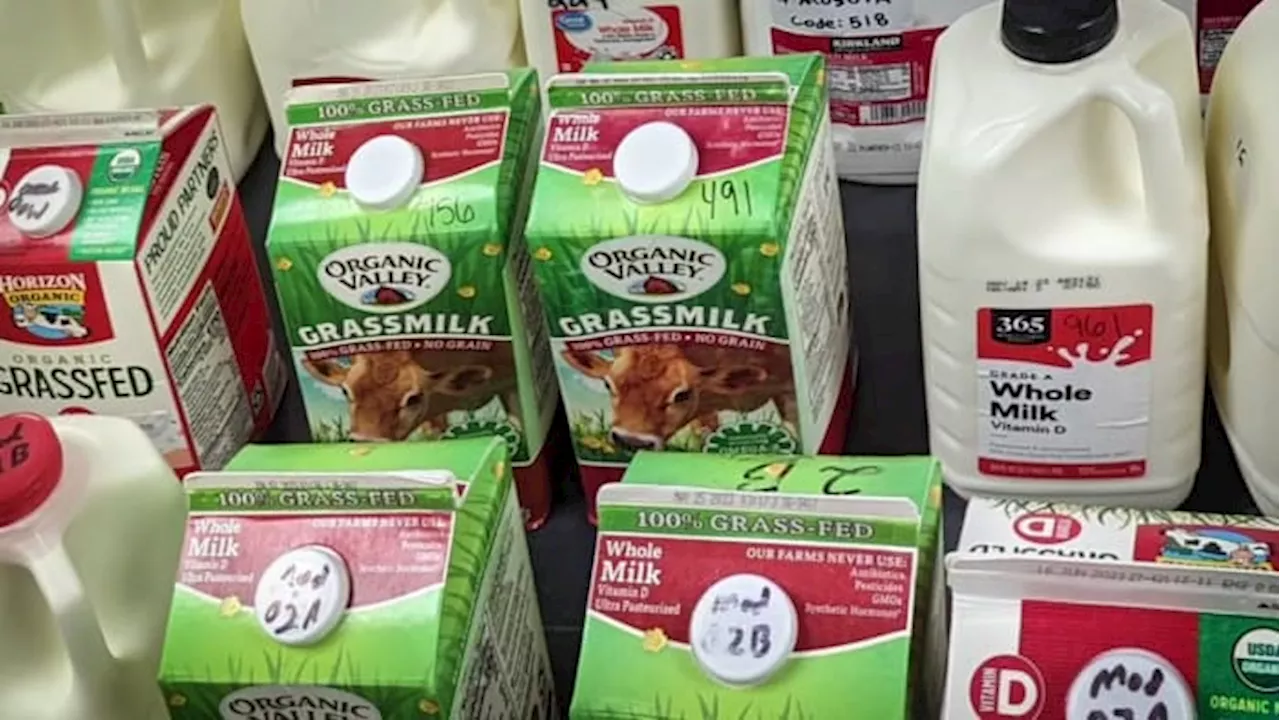 Consumer Reports’ tests find ‘forever chemicals’ in some milk