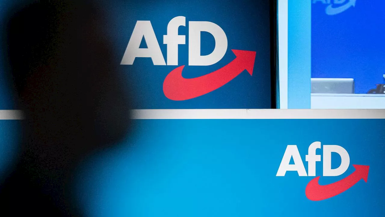 Urteil über AfD: Was, wenn die Partei ein Verdachtsfall wäre