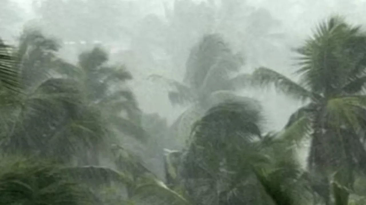 Rain Alert: ചൂടിന് ആശ്വാസം, കാലവർഷം നേരത്തെയെത്തും; ഒമ്പത് ജില്ലകളിൽ യെല്ലോ അലർട്ട്, ചിലയിടങ്ങളിൽ ശക്തമായ മഴയ്ക്ക് സാധ്യത