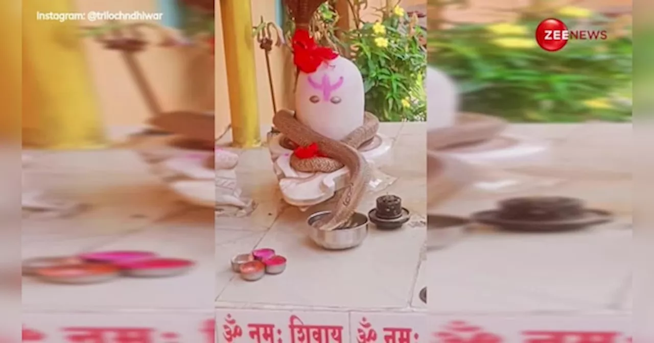 Viral Video: शिवलिंग में लिपटे 5 फुट लंबे कोबरा ने किया कुछ ऐसा, वीडियो देख नहीं होगा आंखों पर यकीन