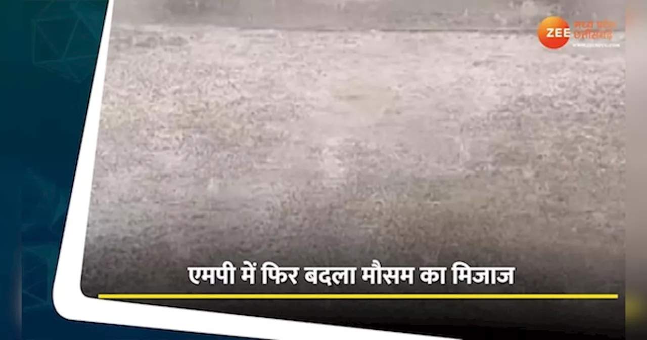 Weather Video: रतलाम में मतदान के बीच बदला मौसम का मिजाज, बारिश के साथ गिरे ओले