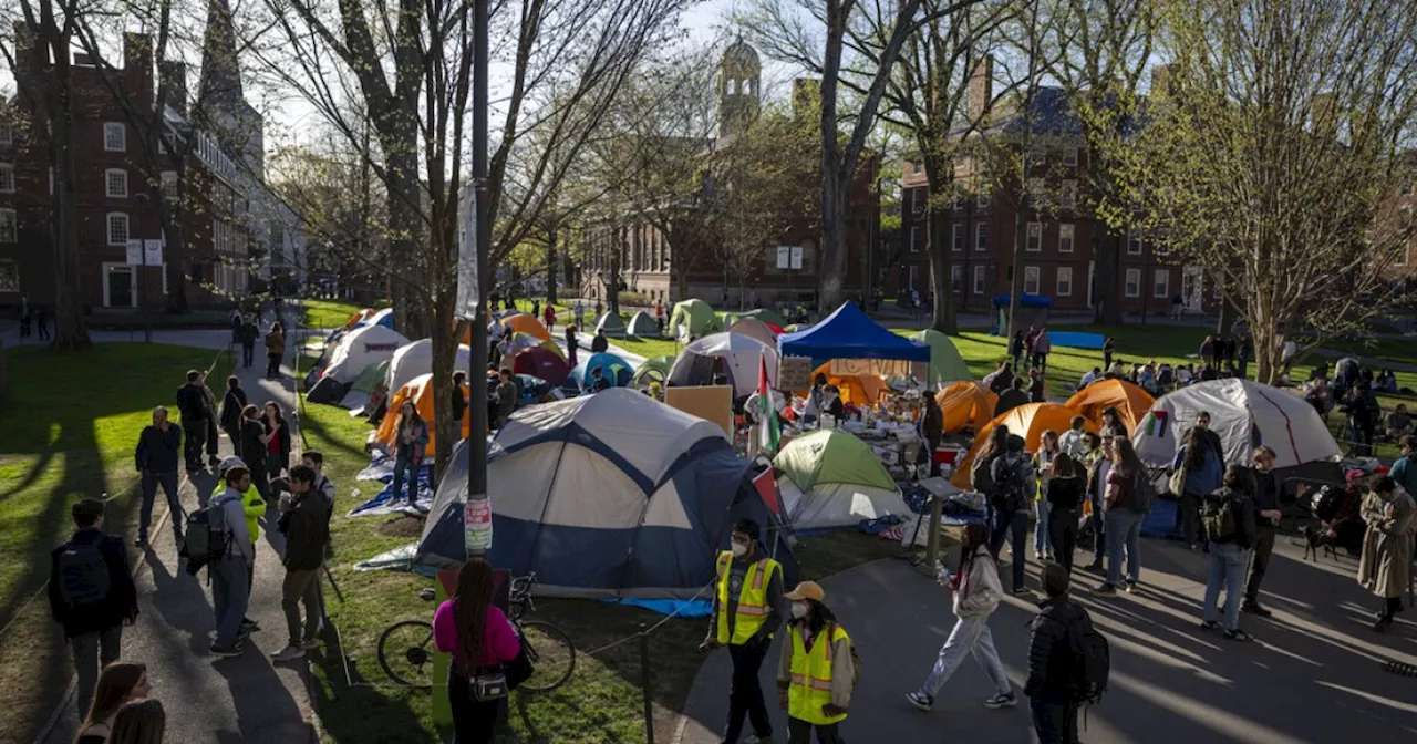 Harvard students end protest as university agrees to discuss Middle East conflict