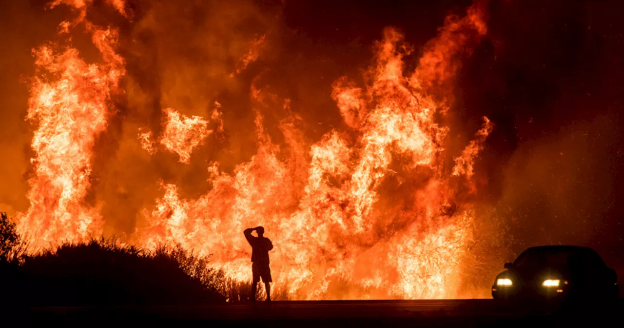 Insurance companies are pulling out of California because of wildfires