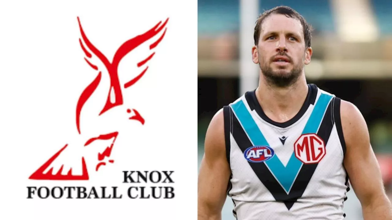 AFL world in disbelief over Knox Football Club’s sexist behaviour to women’s team