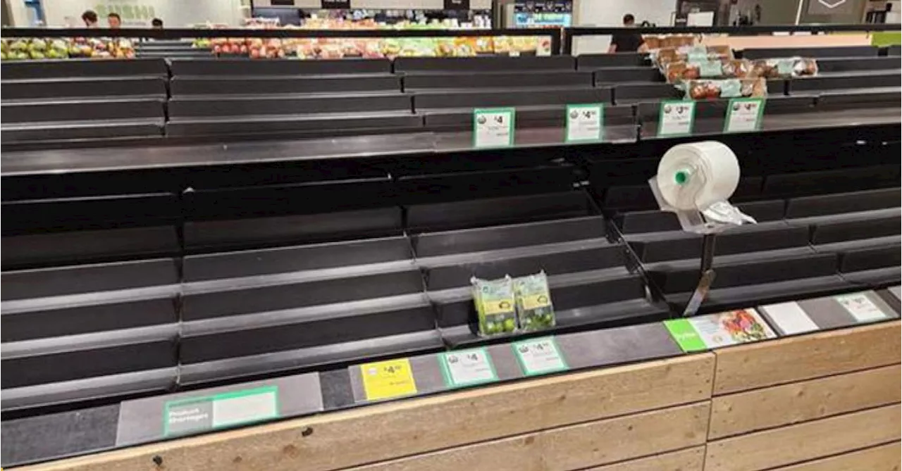 Shelves at some Woolworths stores left bare due to 'terrible' IT glitch