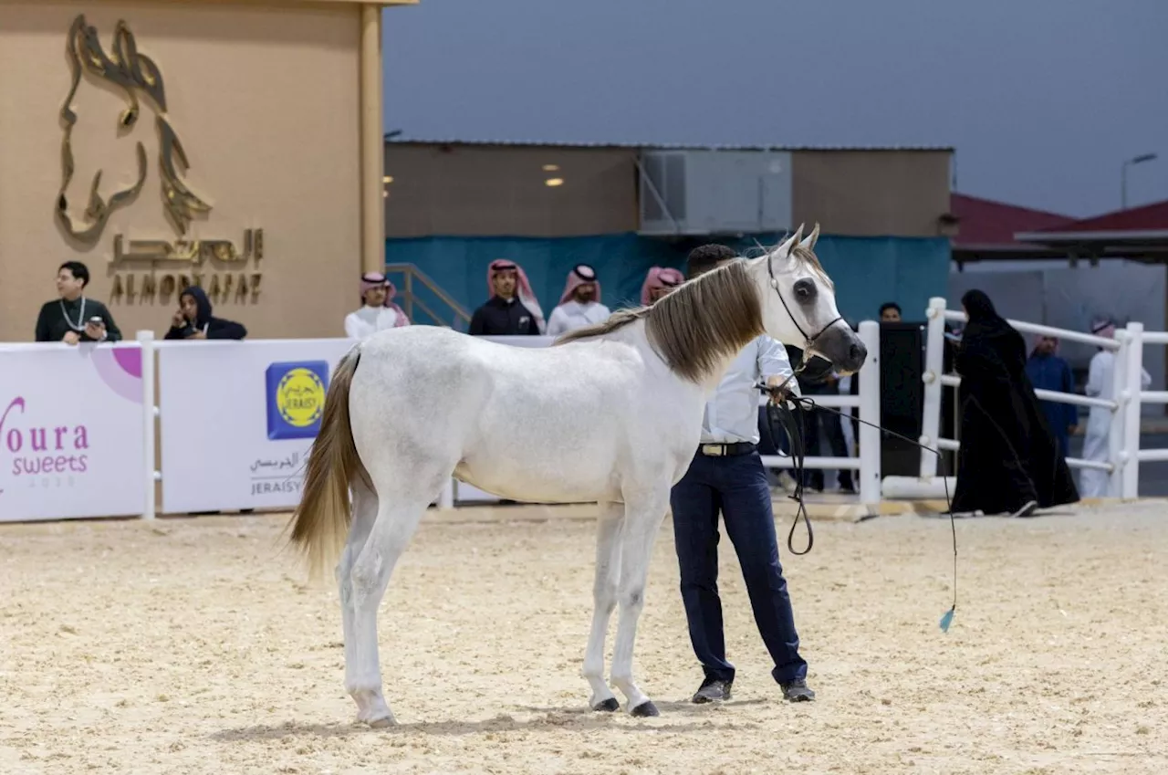 «ذي أرينا الرياض» تتأهب لاستضافة كحيلة لجمال الخيل العربية