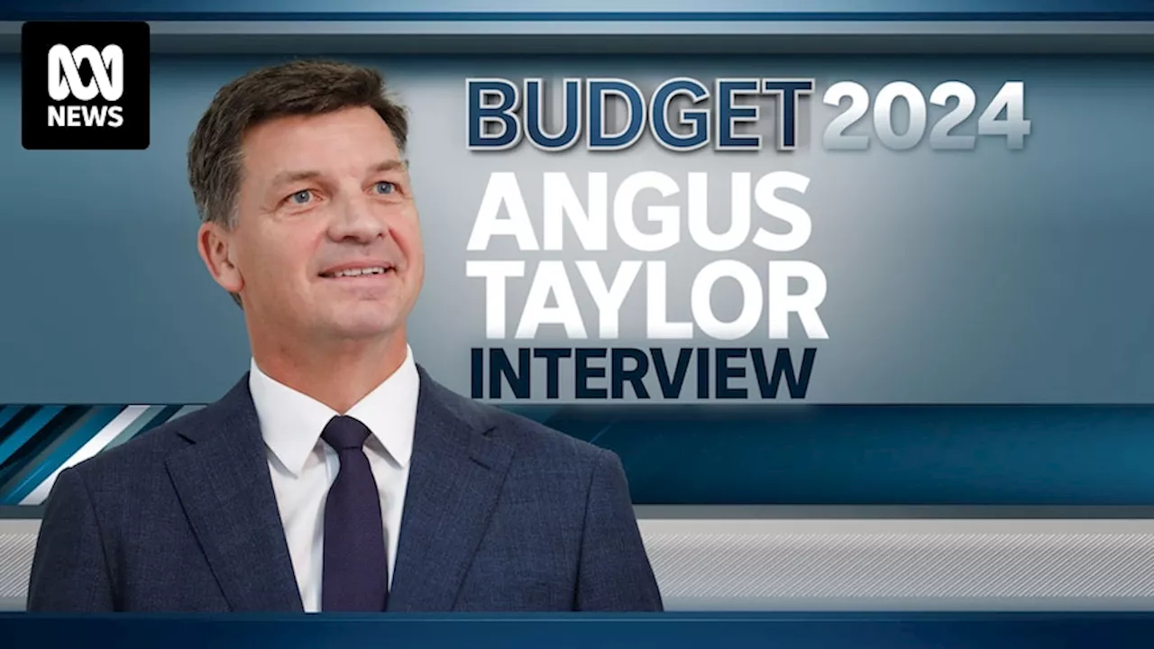 Shadow Treasurer Angus Taylor talks to 7.30