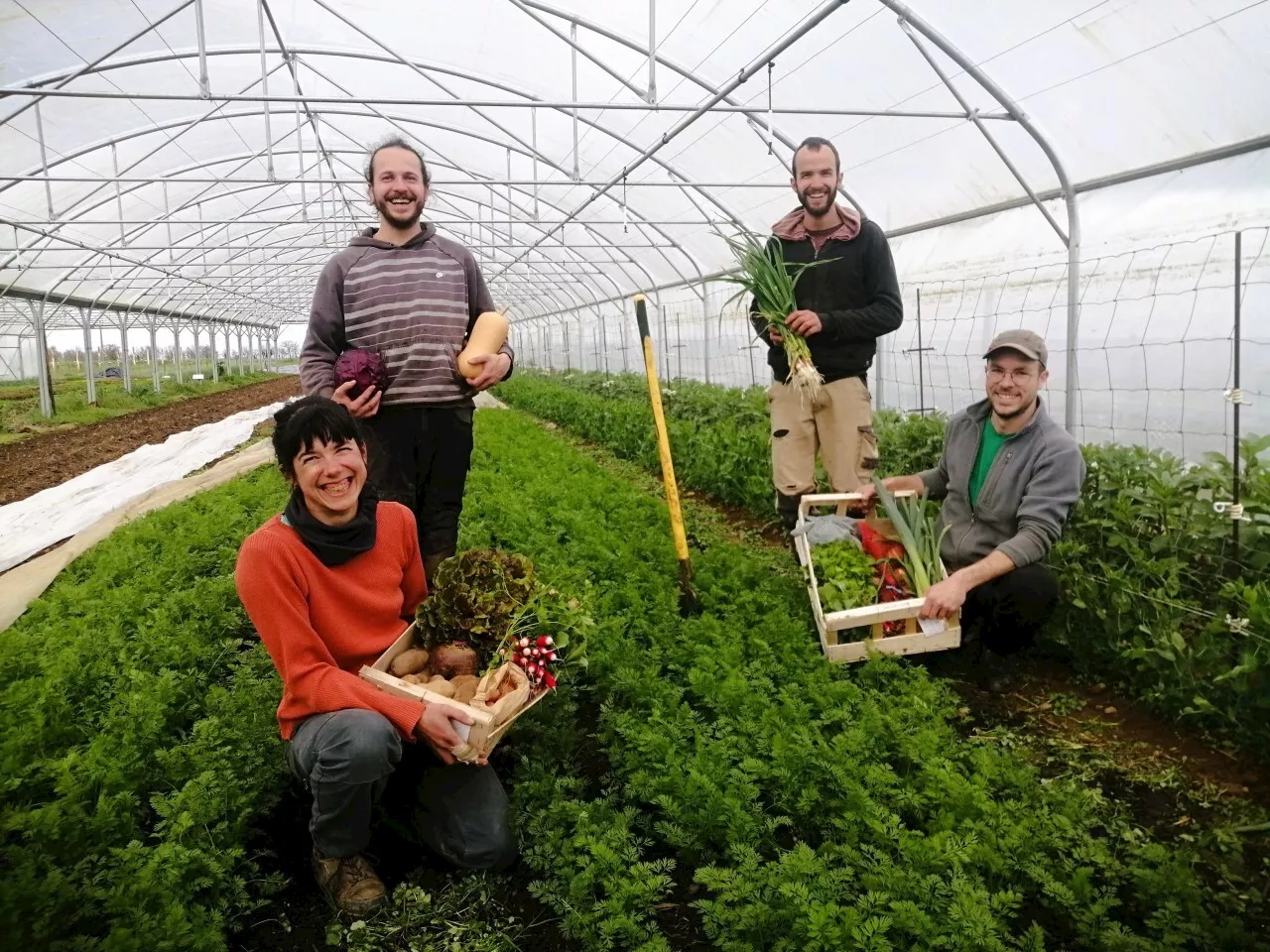 La cueillette des Jardins de la Genette fait son retour près de Montaigu