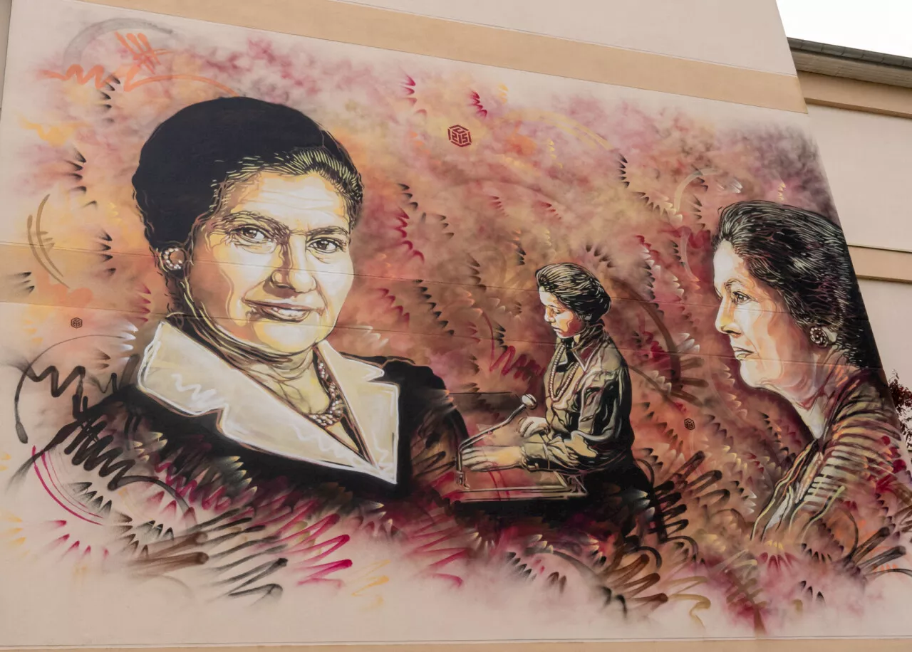 Melun : l'artiste C215 peint une fresque en l'honneur de Simone Veil sur une école