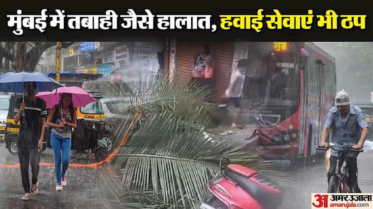 Mumbai Storm: होर्डिंग गिरने से मरने वालों की संख्या बढ़कर 14 हुई, एक की हालत गंभीर; 43 घायलों का चल रहा इलाज