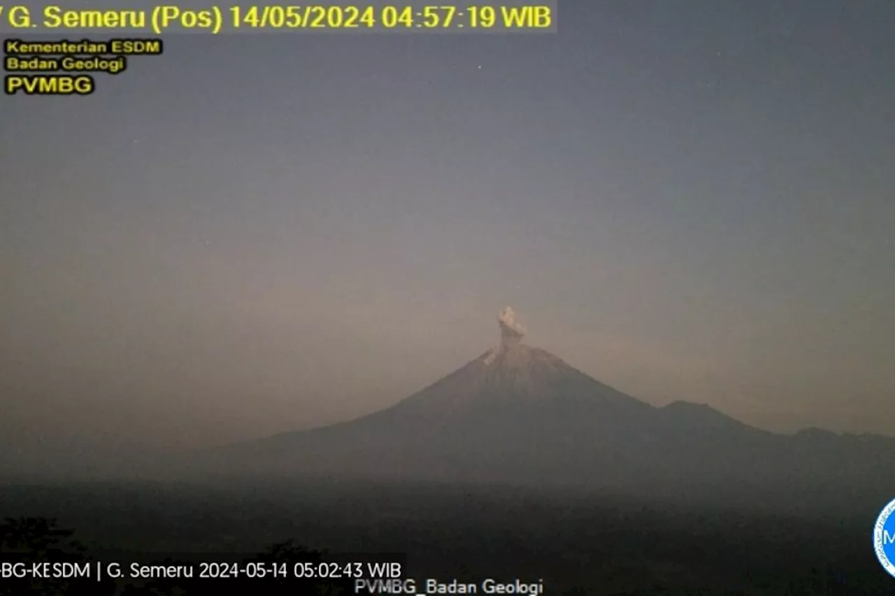 Gunung Semeru erupsi dengan letusan abu vulkanik setinggi 600 meter