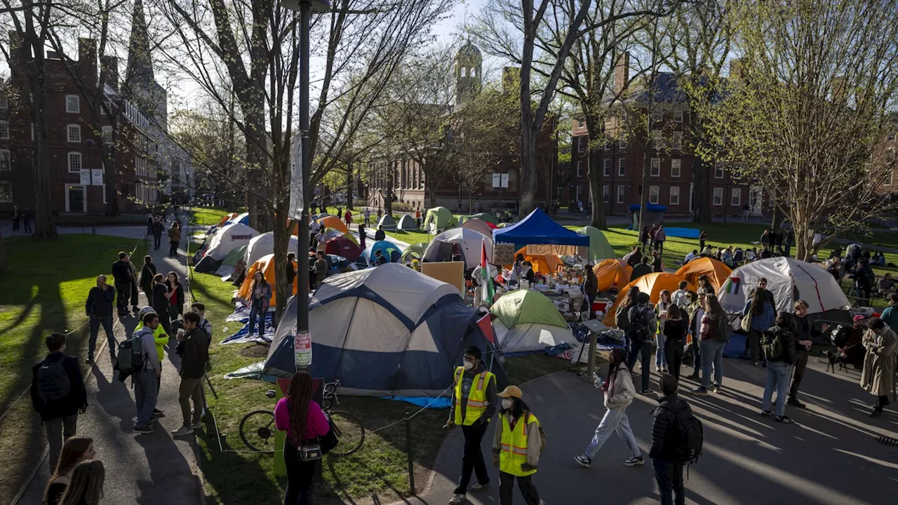 Harvard students end protest as university agrees to discuss Middle East conflict