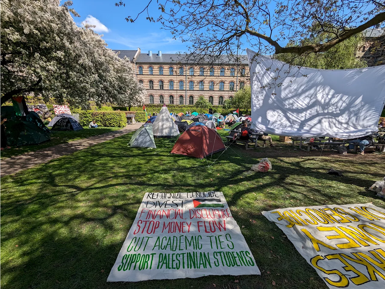 19-årige Rana sover i telt foran Københavns Universitet i solidaritet med Gaza