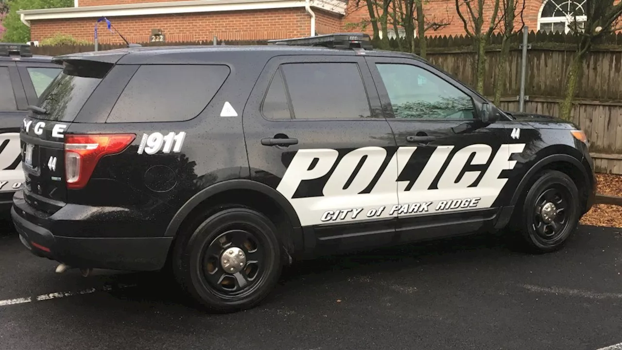 Park Ridge police, DEA aid in arrest of Wheeling man on gun, drug charges