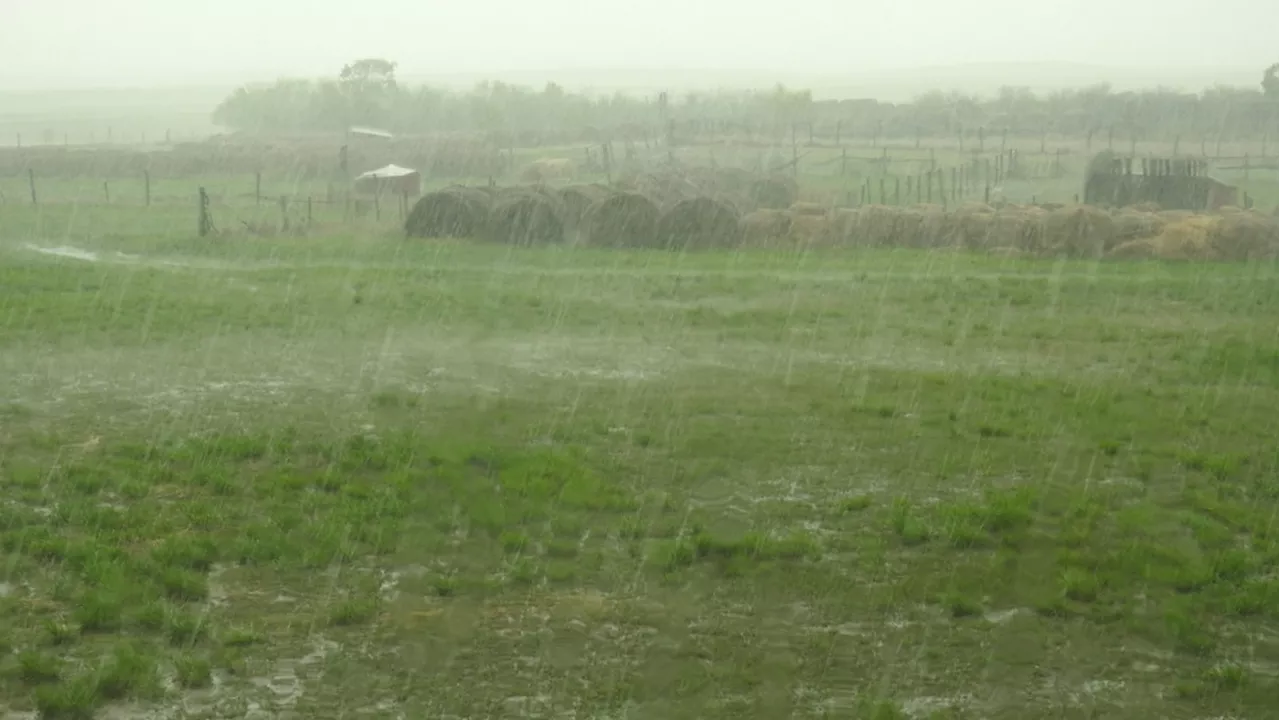 Showers, night rain, maybe even some thunderstorms – there's lots of rain possible in Calgary's forecast