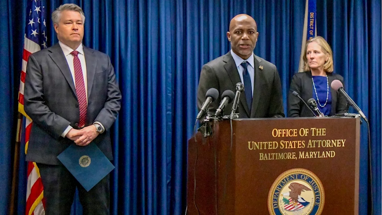 Woman pleads guilty to plotting with neo-Nazis to attack Baltimore's power grid